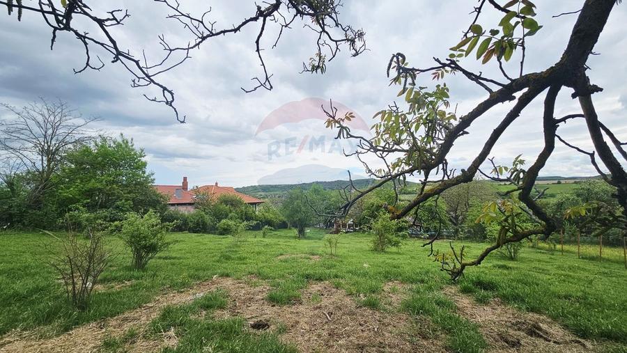 Teren Construcții intravilan de 5350 mp, în Dobreni