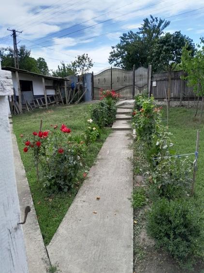 Casă individuală cu 5 camere cu Teren 2500 Mp în Mălăiești