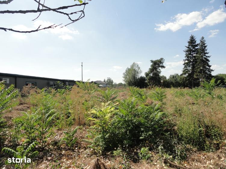 Teren intravilan 2.379 mp in Gradiste, langa Romana Residence - 5
