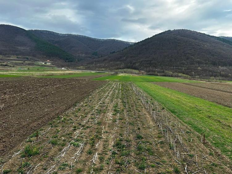 Teren de 900 mp, în Poplaca