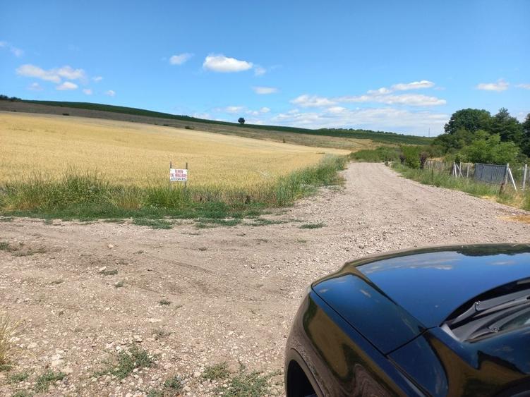 Teren de 17297 mp, în Almașu Mic