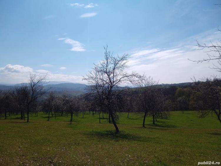 Teren de 17264 mp, în Pietroasa