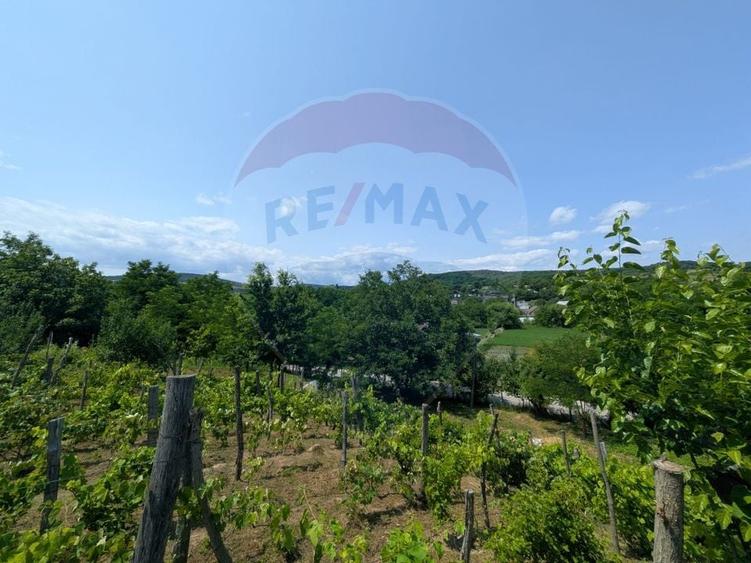 Teren Construcții intravilan de 2800 mp, în Crihan