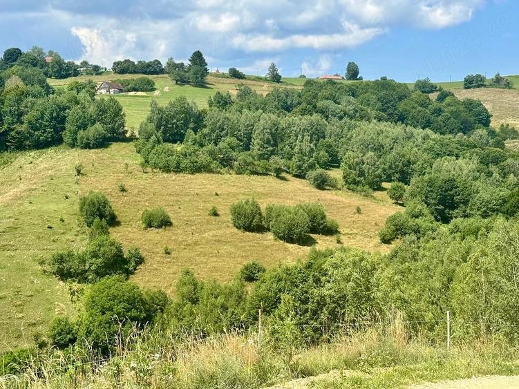 Teren de 12920 mp, în Poiana Mărului