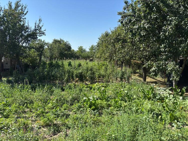 Casă cu 2 camere în Valea Pechii
