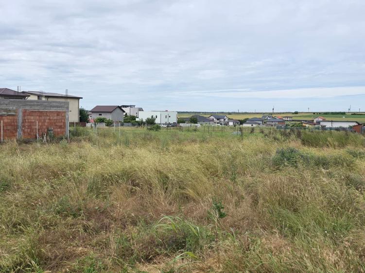 Teren Construcții intravilan de 5000 mp, în Lazu