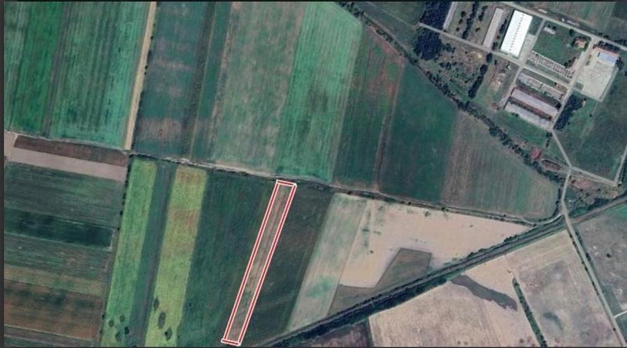 Teren extravilan Salonta 15.000mp (1,5ha) - 1