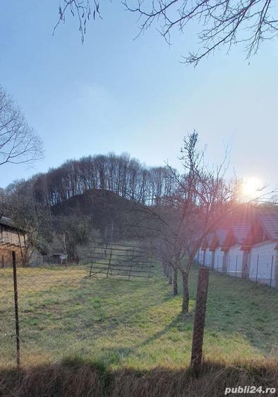 Teren de 398 mp, în Dobrotu