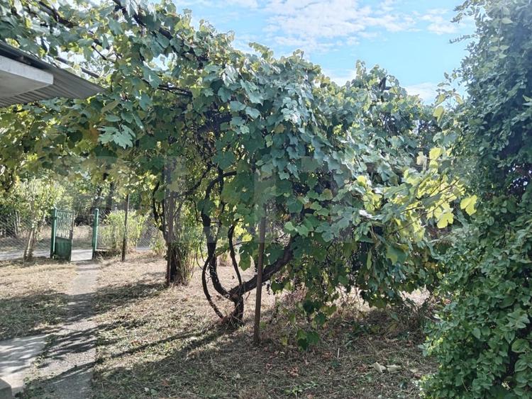 Casă individuală cu 3 camere cu Teren 539 Mp în Hondol