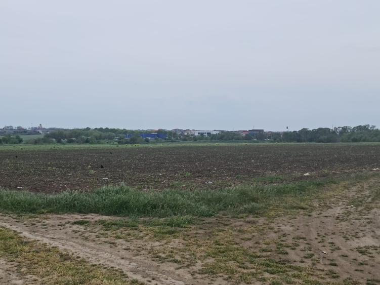 Teren Construcții intravilan de 25000 mp, în Lazu