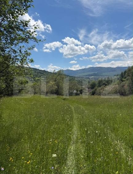 Teren extravilan 5049 mp, Vama, Bucovina - 3