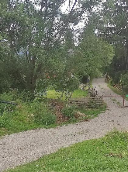 Teren de 3000 mp, în Beliș