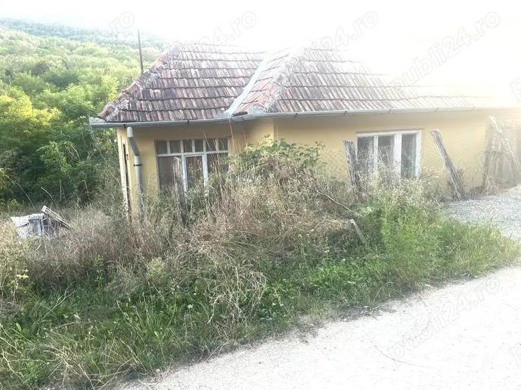 Casă cu 2 camere în Ormeniș