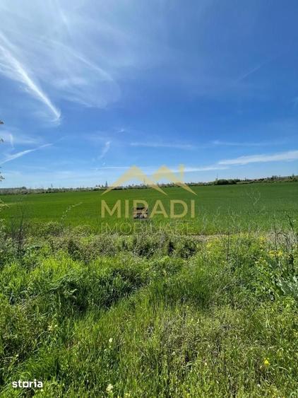 Teren de 7500 mp, în Boldești