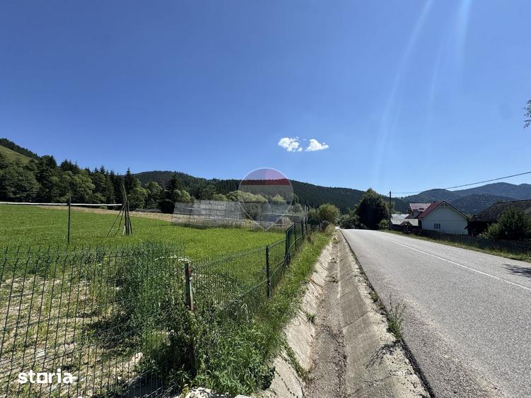 Teren de 7670 mp, în Borca
