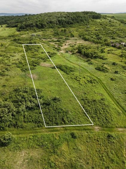 Teren agricol extravilan de 7172 mp, în Valea Ursului