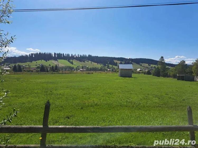 Teren de 9916 mp, în Coșna