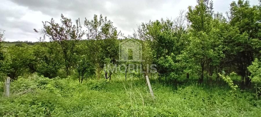Teren Construcții intravilan de 994 mp, în Budiu Mic