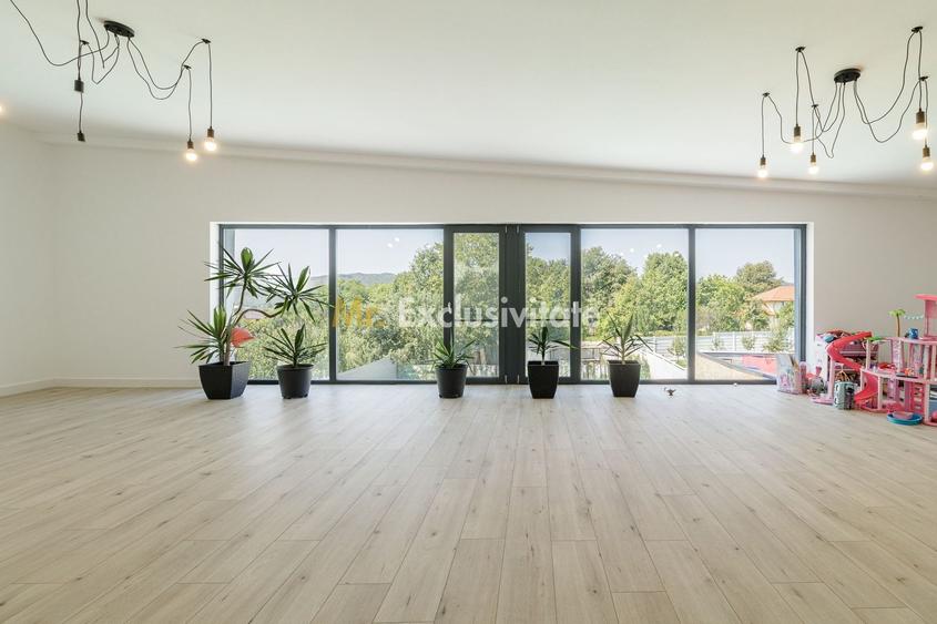 VILA PREMIUM / PISCINA / BANESTI / PH - 20