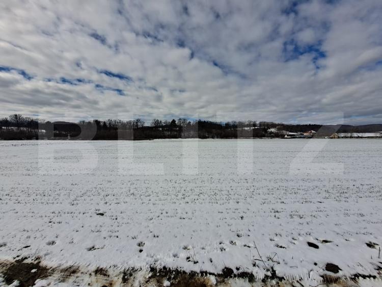Teren agricol intravilan de 10640 mp, în Vulcan