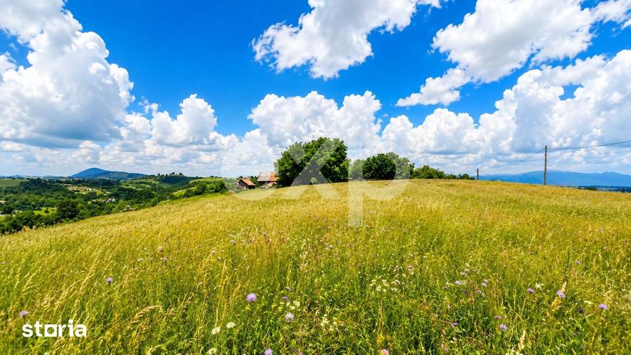 Teren de 989 mp, în Poiana Mărului