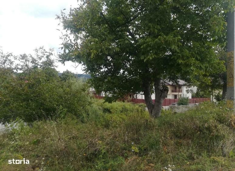 Spațiu comercial, în Bârnova