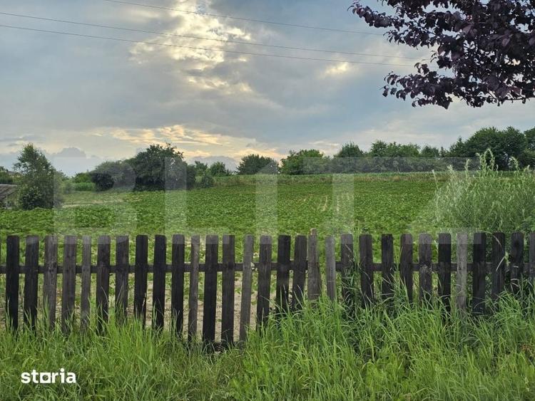 Teren de 4400 mp, în Dărmănești