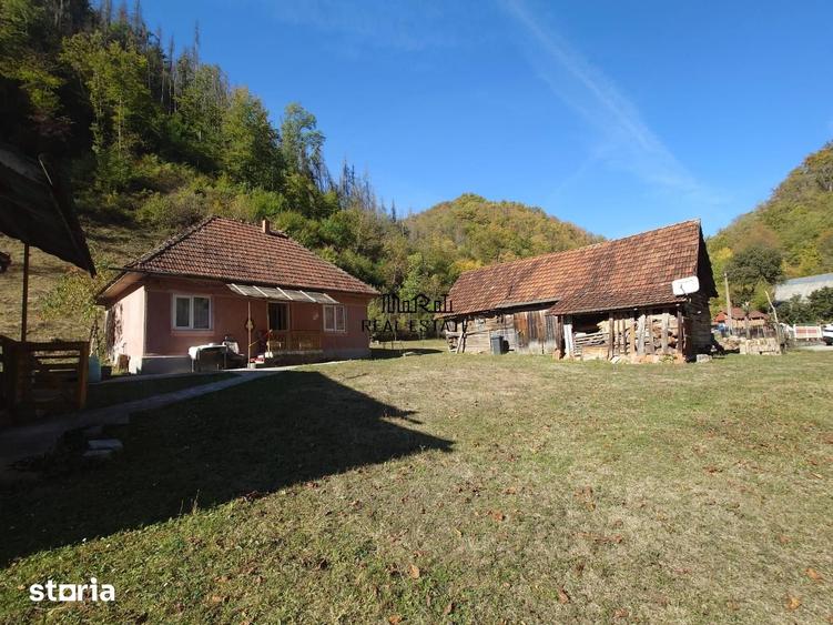 Casă cu 4 camere decomandat cu Teren 7650 Mp în Buceș