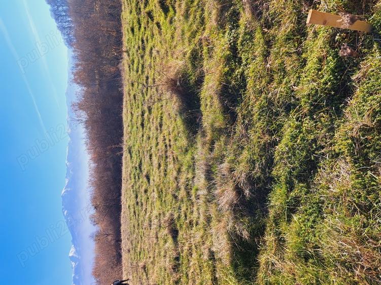 Teren de 3500 mp, în Central