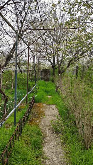 Teren de 1550 mp, în Boldu