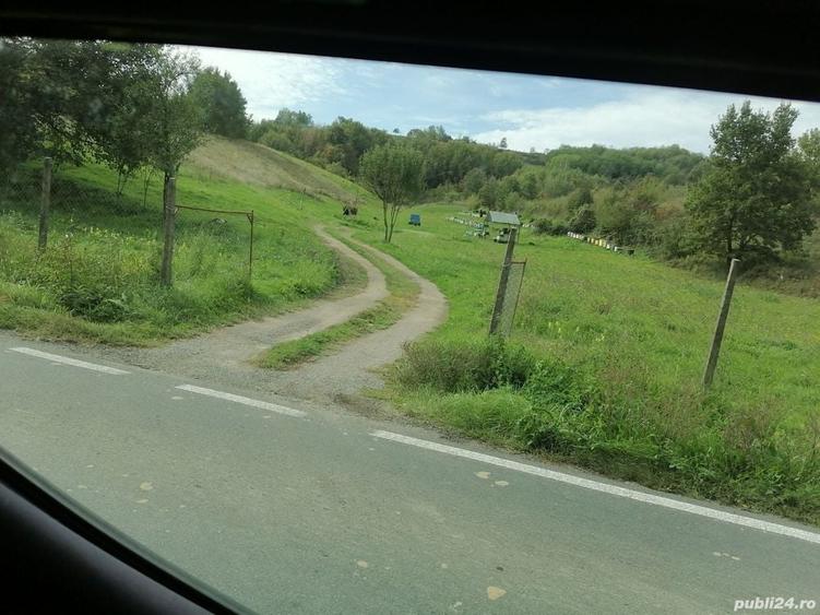 Teren de 30000 mp, în Central