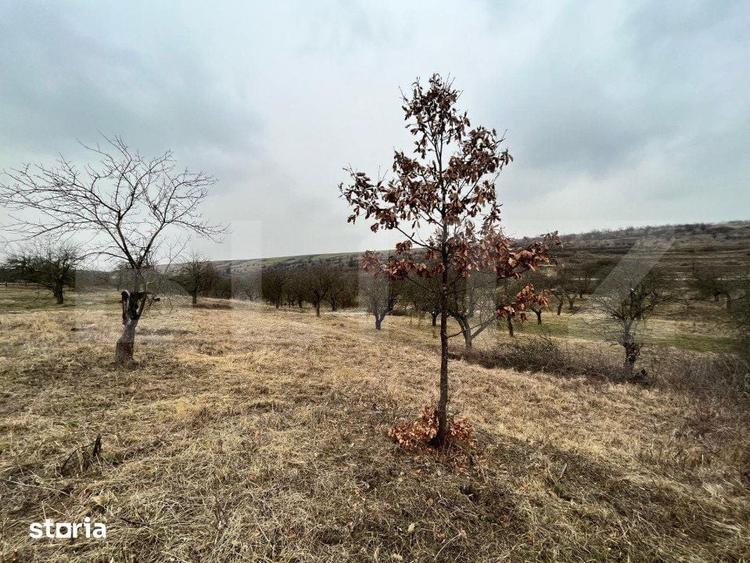 REDUCERE!!! Teren extravilan 5.613 mp, livada, zona Predesti - 6