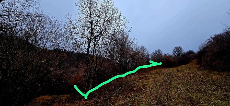 Teren Construcții intravilan de 1577 mp, în Schei