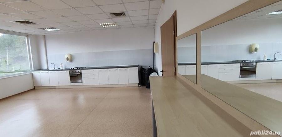 Birou, de 440 mp, în Grigorescu