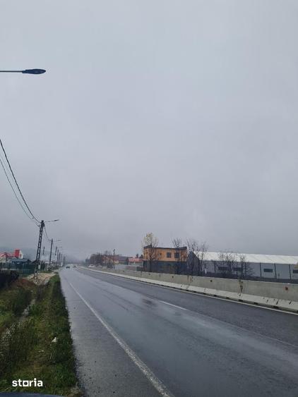 Teren de 86312 mp, în Mărăcineni