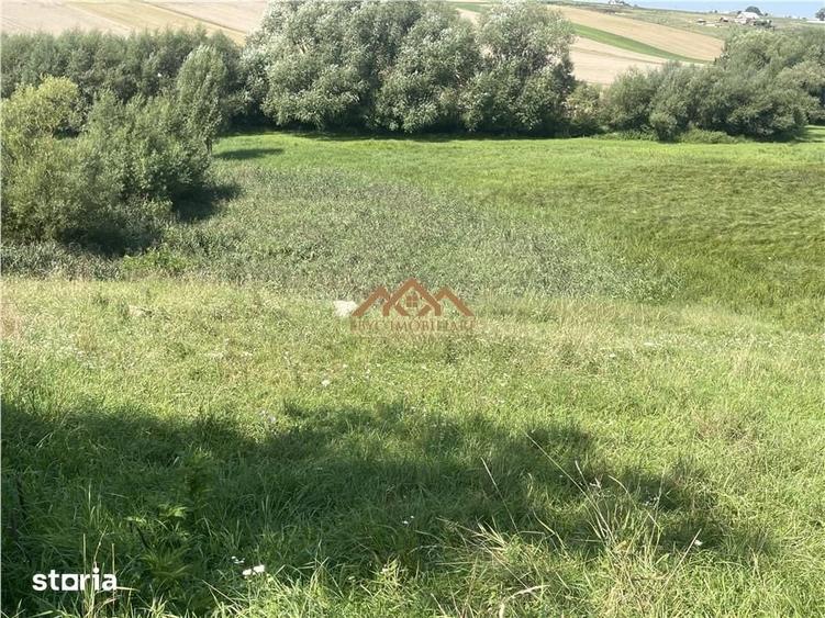 Teren de 8000 mp, în Moara