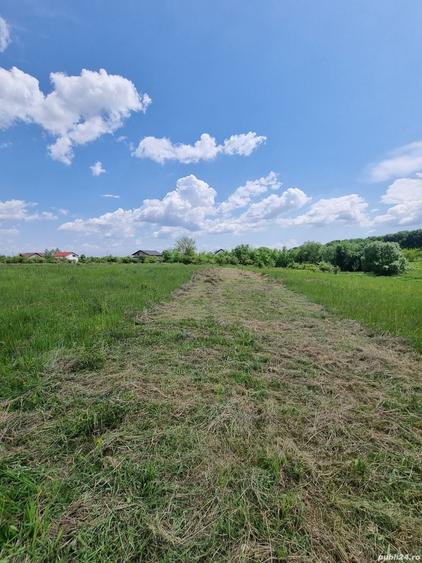 Teren de 631 mp, în Hințești