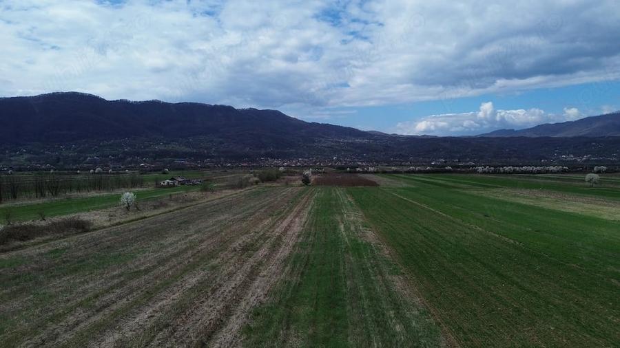 Teren de 6581 mp, în Jiblea Nouă