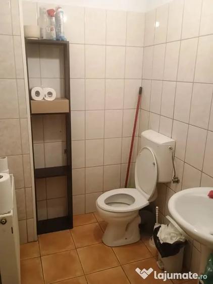 Spațiu comercial, de 260 mp, în Titulescu