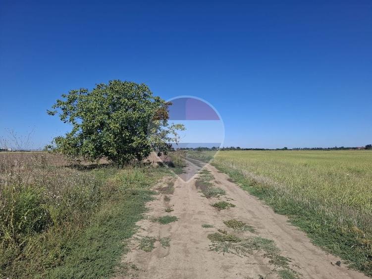 Teren agricol extravilan de 5000 mp, în Centura Vest