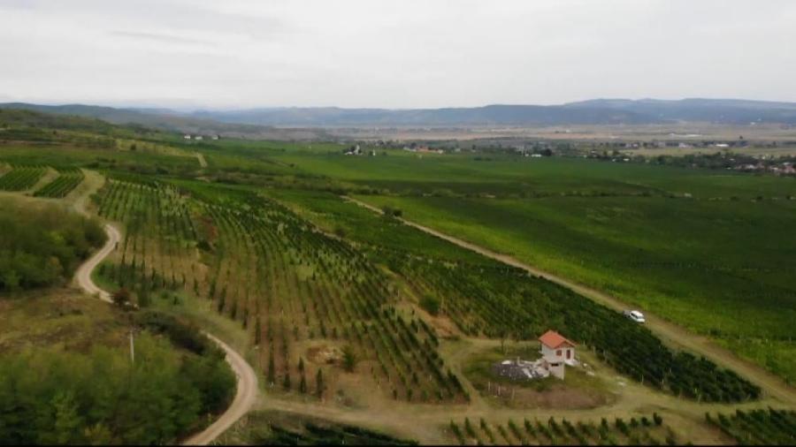 Teren intravilan de 1000 mp, în Est