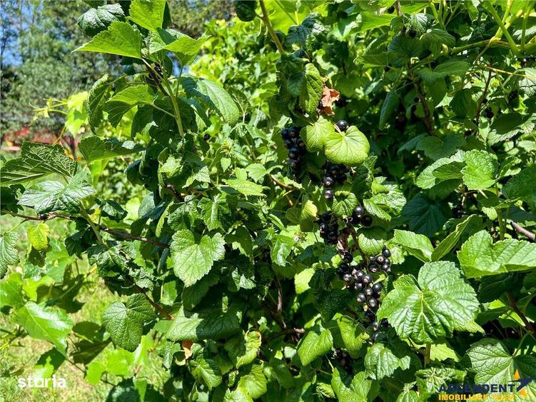 Casă cu 5 camere decomandat cu Garaj în Ilieni