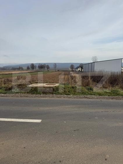Teren intravilan, 1600 mp, front dublu, Mitocul Dragomirnei - 1
