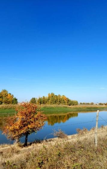 Teren Construcții intravilan de 328 mp, în 1 Decembrie