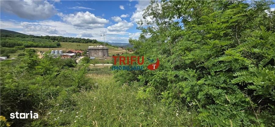 Teren de vanzare in Valea Popii cu toate utilitatile - 3