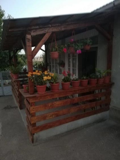 Casă cu Teren 3800 Mp în Redea