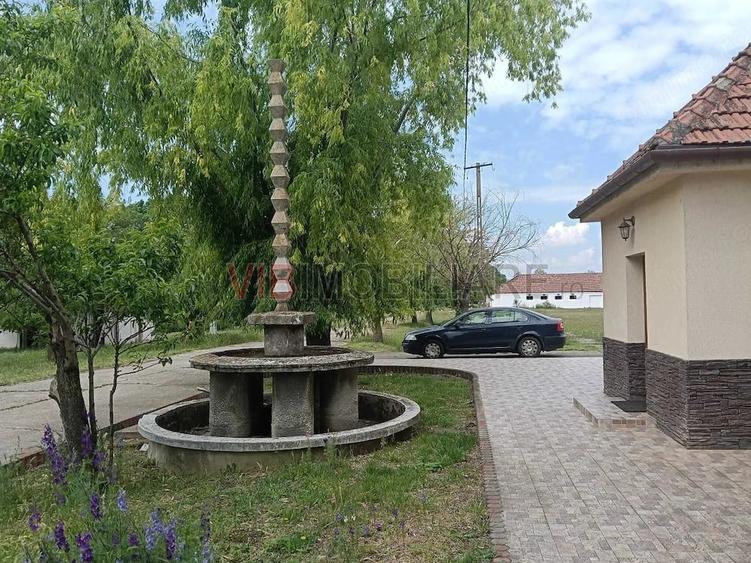 Ferma complet utilata 30 ha teren comasat cu 11.500mp grajduri renovate Timi? Comuna Biled - 4