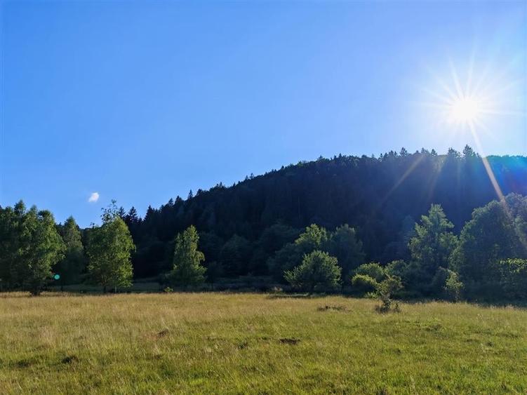 Teren Construcții extravilan de 1800 mp, în Dejani