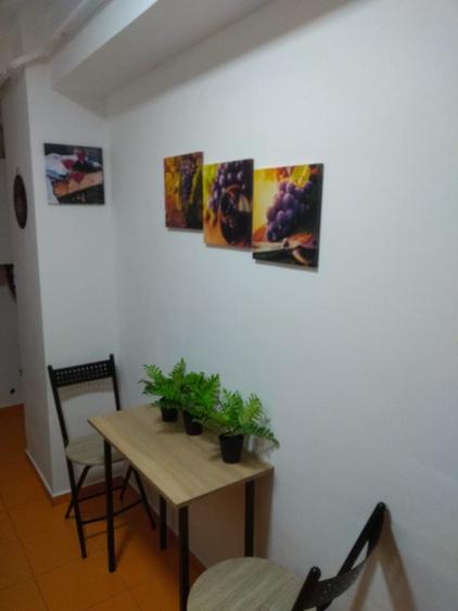Garsonieră decomandată în Beba Veche