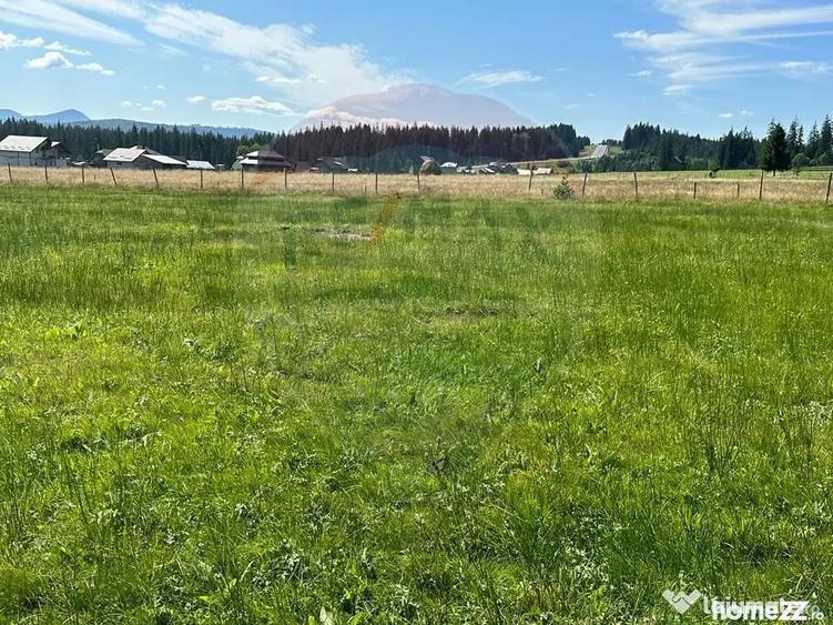 Teren de 30930 mp, în Poiana Stampei